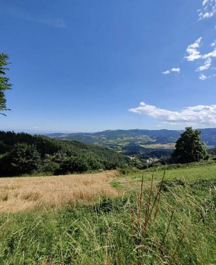 Parcours VTT 3 - Colombier