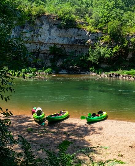Naviguez sur une eau calme au cœur d’un environnement naturel préservé.