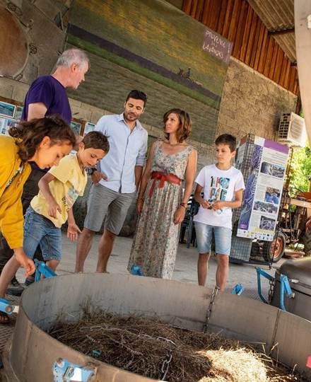 Accueil visiteurs à la Distillerie des 4 Vallées : départ de visite guidée en Drôme (Vercors)