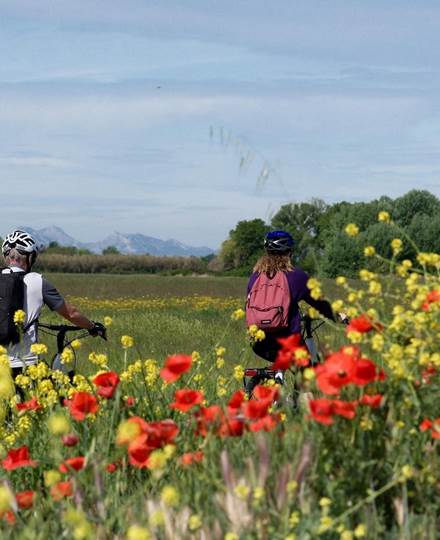 la-roque-d'antheron-location-velo-electrique-vente