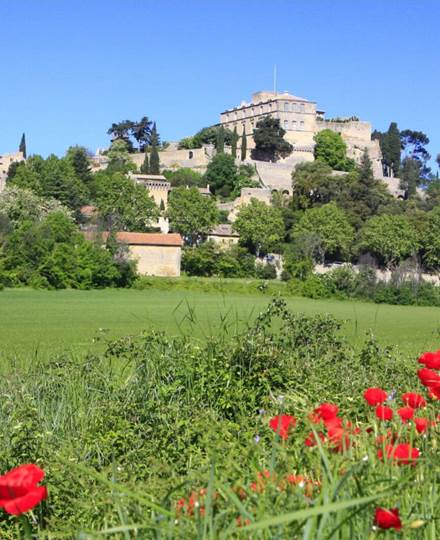 Champ de coquelicot format jpg elloha