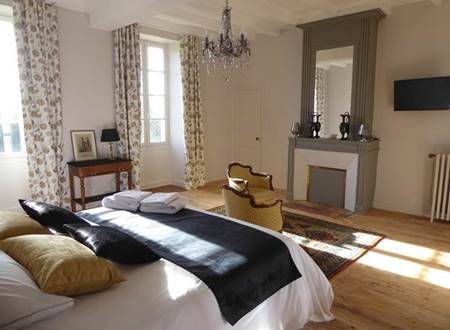 Château d'Annezay vue aérienne