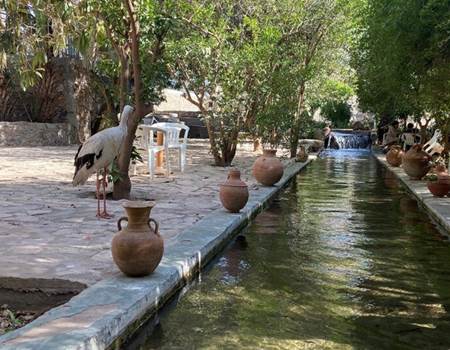 WhatsApp Image 2025-12-18 at 15.26.02-3