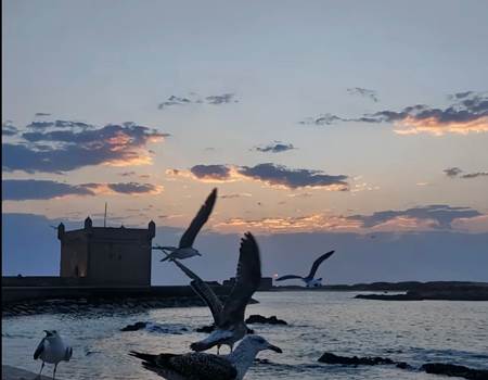 WhatsApp Image 2025-12-18 at 13.53.58-8