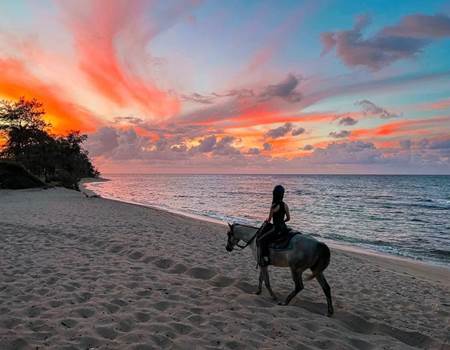 WhatsApp Image 2026-01-04 at 22.36.03