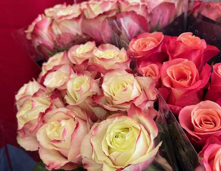 bouquet de roses