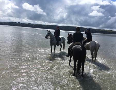 dans la Baie