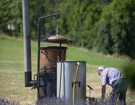 Distillation à l'ancienne