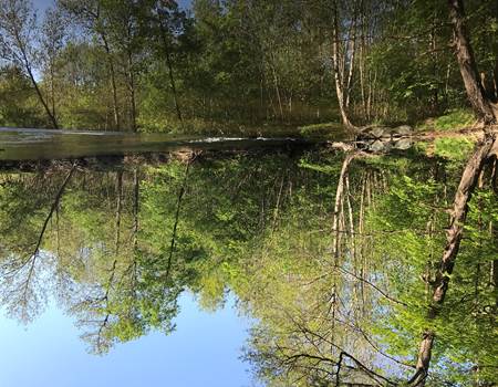 Nos  alentours, les rives du Lignon
