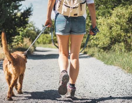 chien_admis_gîte_vosges_gerardmer_vacance.