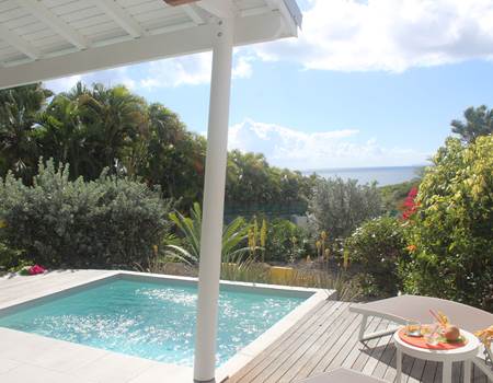 Iguane House villas & Micro Spa Apres midi piscine
