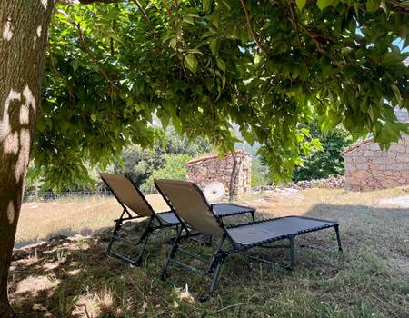 Détente à l’ombre des arbres, bercé par le calme de la nature.