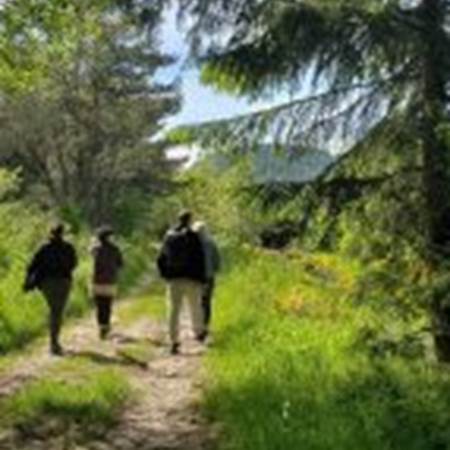 ballade-en-foret-143x300-gallery-offer