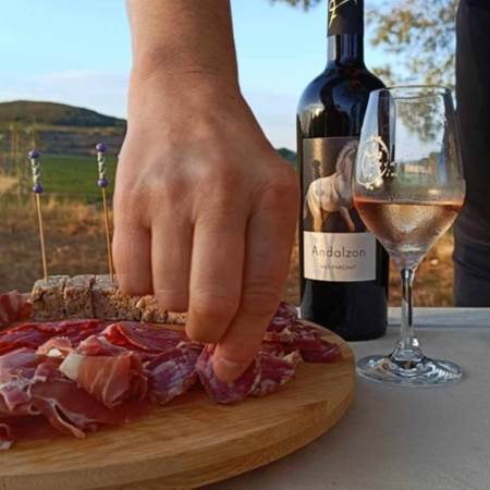 Dégustation de vin et tapas au Mas Farchat-gallery-offer
