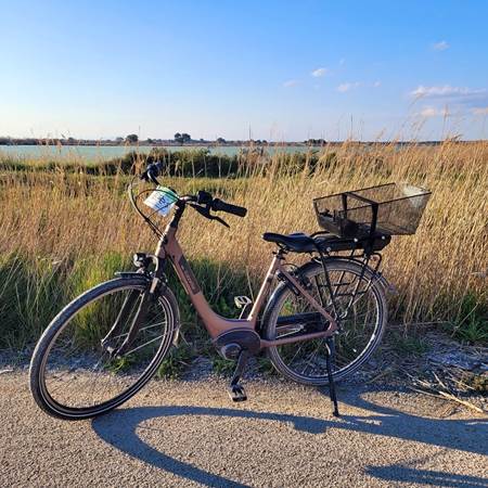 lamarette1-photo-gallery