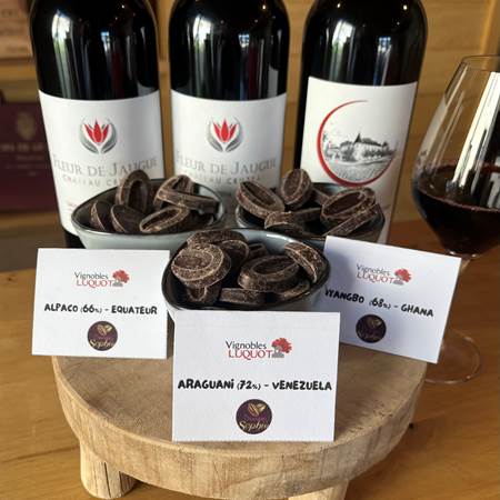 chocos-photo-gallery