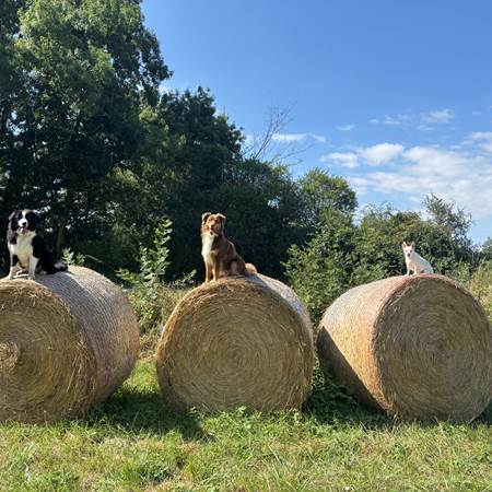 Les 3 Mousquetaires Du Gré du Vent-gallery-offer