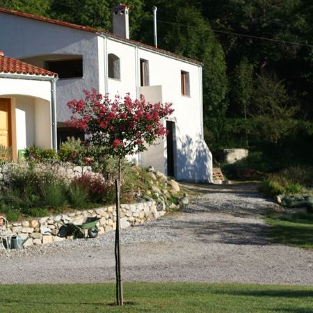 IMG_7543-gallery-offer