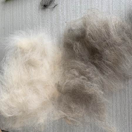 IMG_0338-gallery-offer