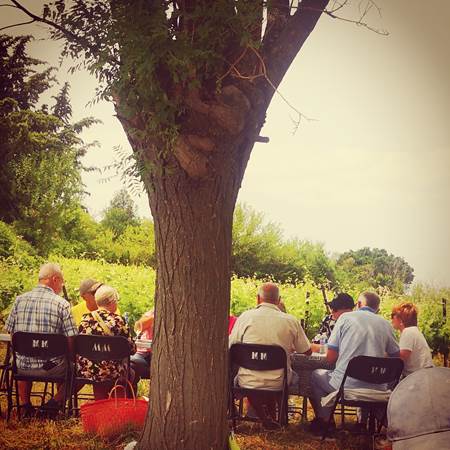 Dégustation de vin et tapas au Mas Farchat-img-gallery-solo