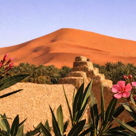 La vue depuis la terrasse de l'auberge-gallery