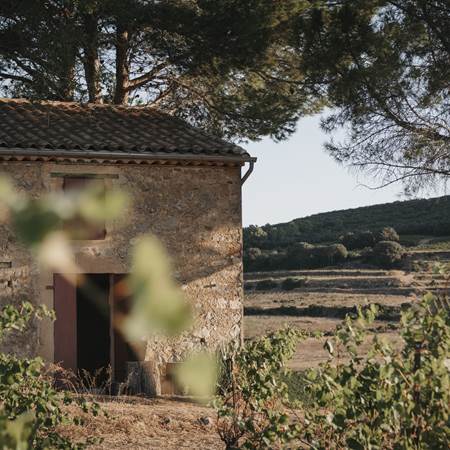 Dégustation de vin et tapas au Mas Farchat-gallery-offer