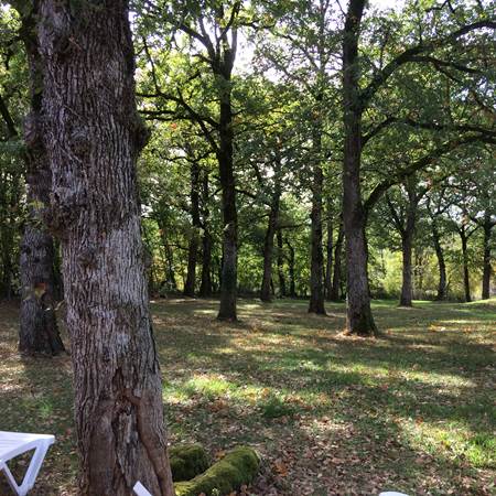 vue_de_la_terrasse-img-gallery-solo