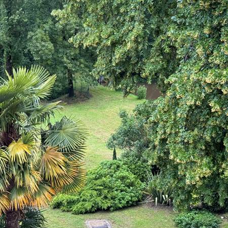 vv4balribbx2picets83-gallery-offer