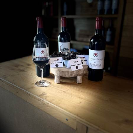 degustation_chocolat-photo-gallery