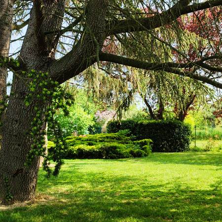 Notre jardin arboré-gallery-offer