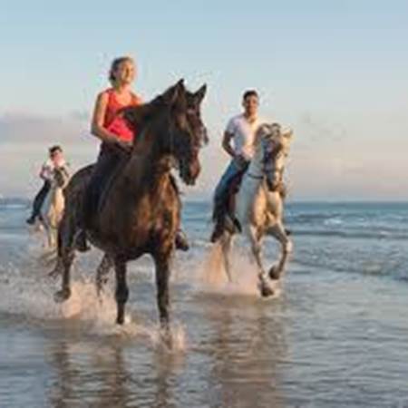 ballades cheval et chameaux-gallery-offer