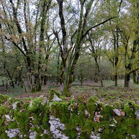 1000000858-gallery-offer