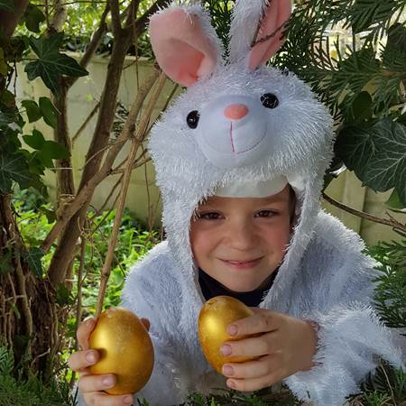 le lapin a trouvé les œufs-gallery-offer
