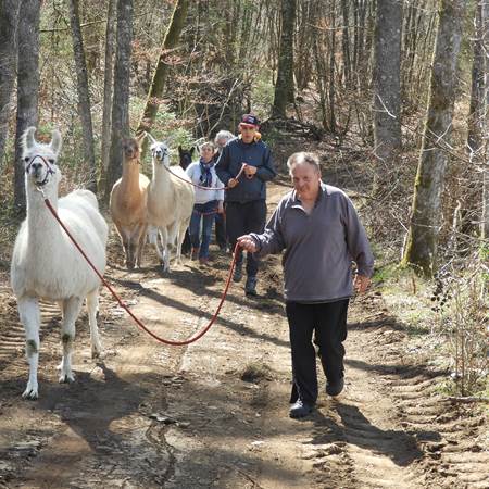 sornac5-img-gallery-solo