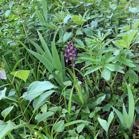 Le jardin-gallery-offer