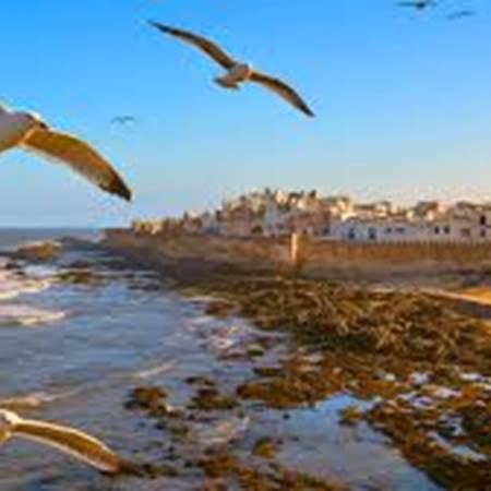 essaouira-gallery-offer