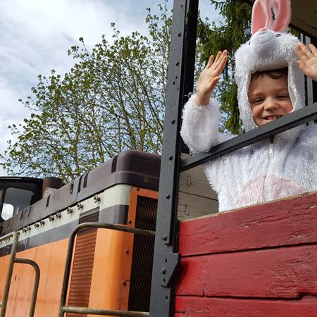 lapin du train des œufs-img-gallery-solo