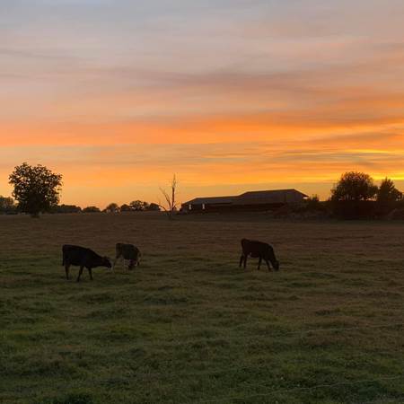 305578017_402743311974703_3590713909605771530_n-gallery-offer