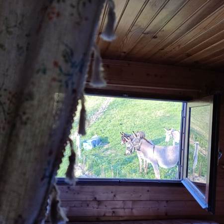 Vue de la fenêtre de la chambre (psst, pas d'inquiétude, les ânes ne dorment pas sous votre fenêtre, ils sont rentrés chaque soir).-gallery-offer
