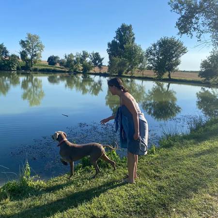 La baignade pour  les toutous-gallery-offer