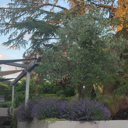 Transats à disposition pour profiter du jardin-gallery-offer