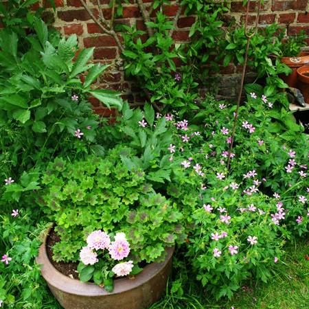 printemps au jardin-gallery