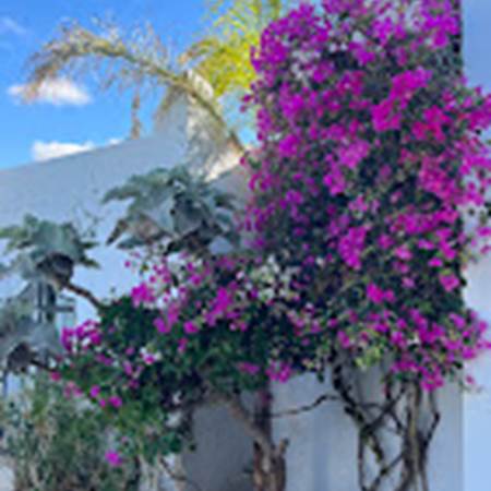 exterieur-gallery-offer