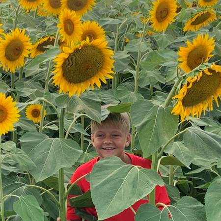 Qui suis-je ?-gallery-offer