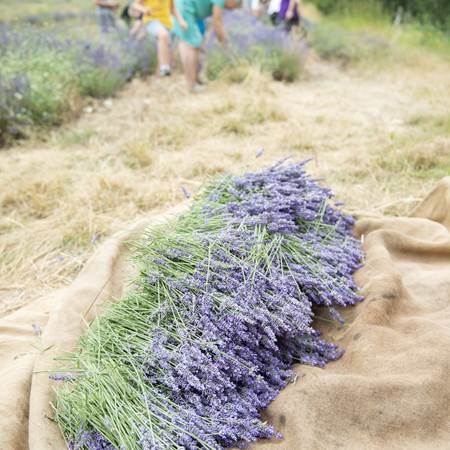 2023.07.12_Visite-15-photo-gallery