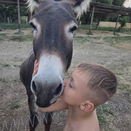 calin avec Dinky-gallery-offer