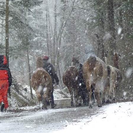 hiver1-gallery-offer