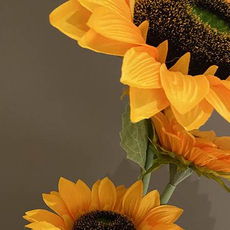Fleur-de-Tournesol-img-gallery-solo
