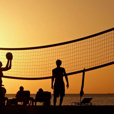 silhouette-photography-of-people-playing-beach-volleyball-2444852-photo-gallery