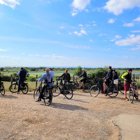 Balade a` ve´lo en Camargue - De´couverte de la nature et des marais-photo-gallery